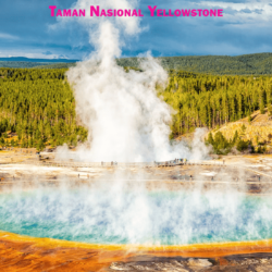 Taman Nasional Yellowstone
