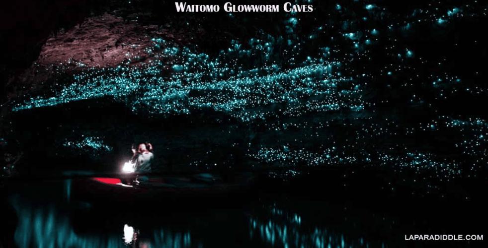 Waitomo Glowworm Caves