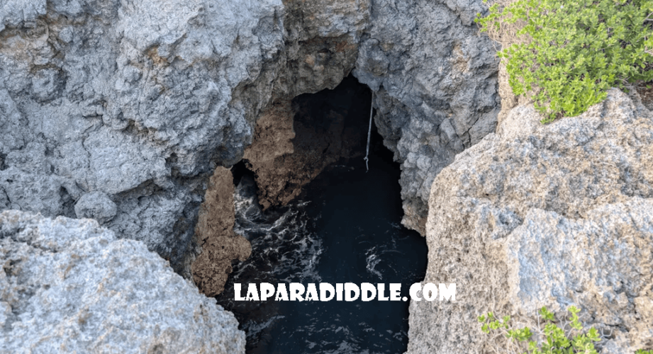 laparadiddle