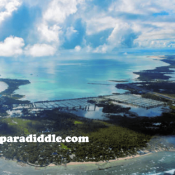 laparadiddle