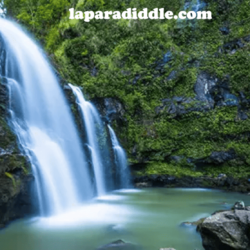 laparadiddle