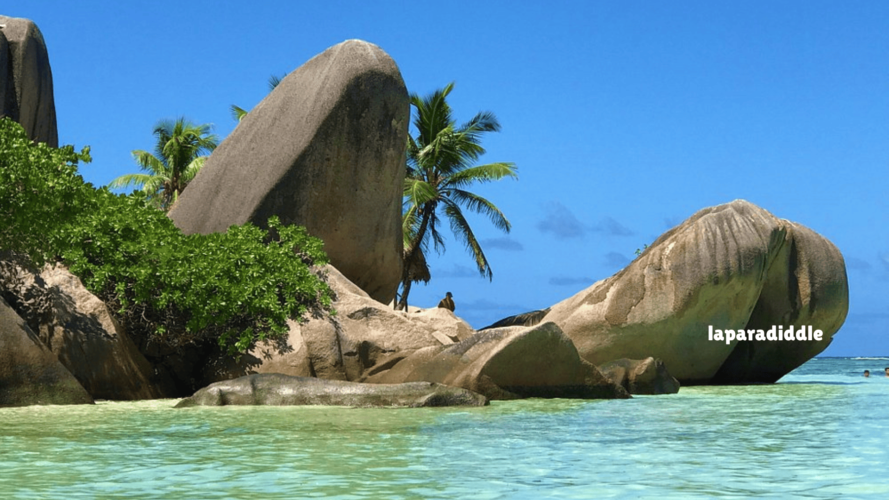 laparadiddle